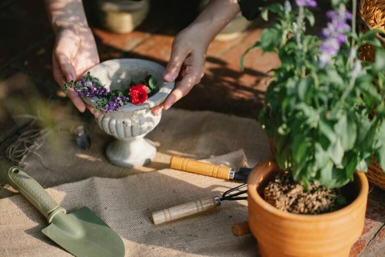 online tools for growth